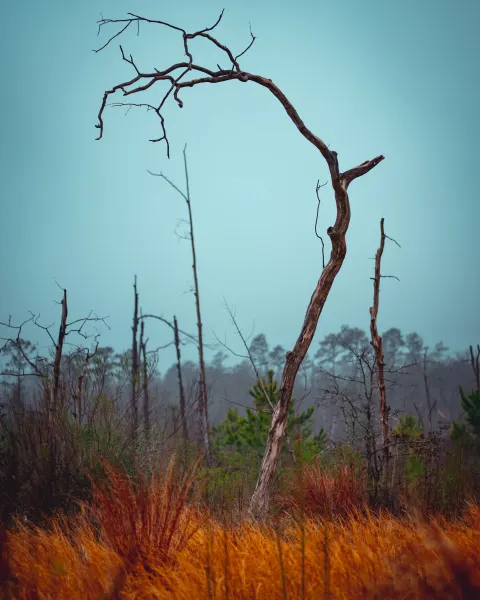 photograph by Hector Luis Jr