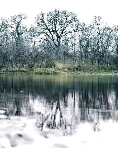 photograph by Hector Luis Jr