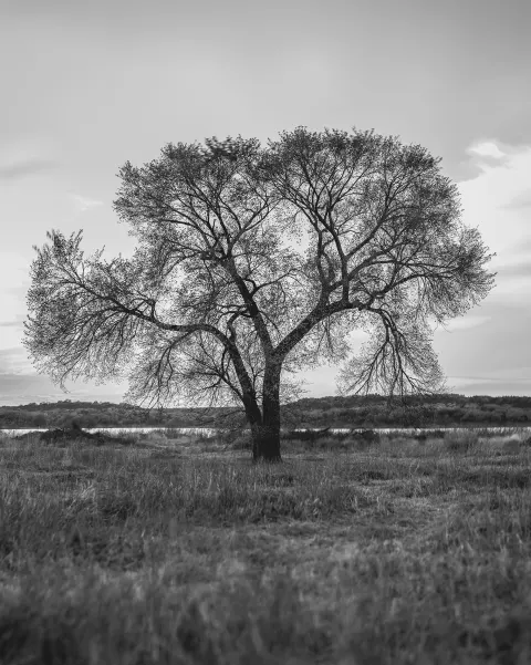 photograph by Hector Luis Jr