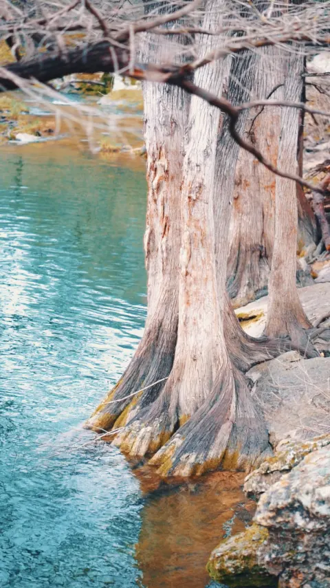 McKinny Falls