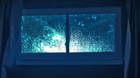 Sleep in the Storm